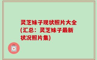 灵芝妹子现状照片大全(汇总：灵芝妹子最新状况照片集)