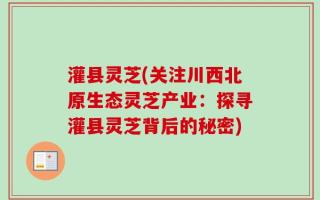灌县灵芝(关注川西北原生态灵芝产业：探寻灌县灵芝背后的秘密)