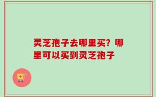灵芝孢子去哪里买？哪里可以买到灵芝孢子