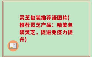 灵芝包装推荐语图片(推荐灵芝产品：精美包装灵芝，促进免疫力提升)