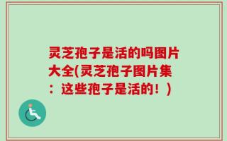灵芝孢子是活的吗图片大全(灵芝孢子图片集：这些孢子是活的！)