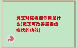 灵芝对尿毒症作用是什么(灵芝可改善尿毒症症状的功效)