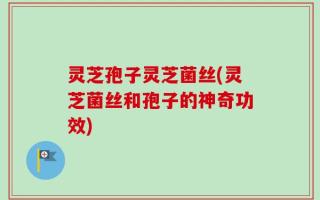 灵芝孢子灵芝菌丝(灵芝菌丝和孢子的神奇功效)