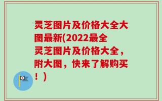 灵芝图片及价格大全大图最新(2022最全灵芝图片及价格大全，附大图，快来了解购买！)