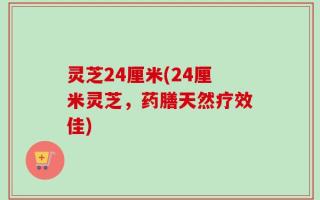 灵芝24厘米(24厘米灵芝，药膳天然疗效佳)