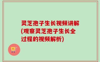 灵芝孢子生长视频讲解(观察灵芝孢子生长全过程的视频解析)