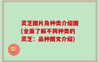 灵芝图片及种类介绍图(全面了解不同种类的灵芝：品种图文介绍)