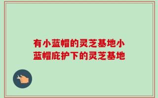 有小蓝帽的灵芝基地小蓝帽庇护下的灵芝基地