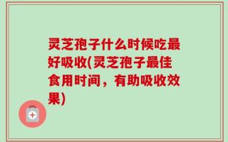 灵芝孢子什么时候吃最好吸收(灵芝孢子最佳食用时间，有助吸收效果)