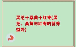灵芝十桑黄十红枣(灵芝、桑黄与红枣的营养益处)