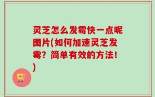 灵芝怎么发霉快一点呢图片(如何加速灵芝发霉？简单有效的方法！)
