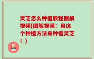 灵芝怎么种植教程图解视频(图解视频：用这个种植方法来种植灵芝！)