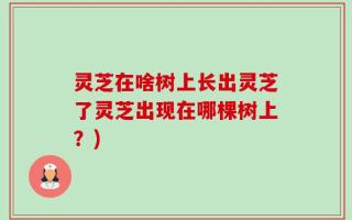 灵芝在啥树上长出灵芝了灵芝出现在哪棵树上？)