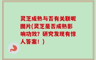 灵芝成熟与否有关联呢图片(灵芝是否成熟影响功效？研究发现有惊人答案！)