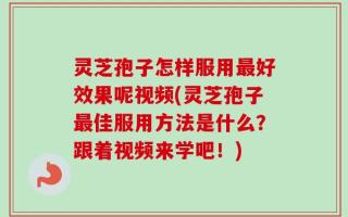 灵芝孢子怎样服用最好效果呢视频(灵芝孢子最佳服用方法是什么？跟着视频来学吧！)