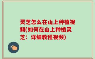 灵芝怎么在山上种植视频(如何在山上种植灵芝：详细教程视频)