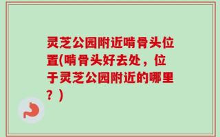 灵芝公园附近啃骨头位置(啃骨头好去处，位于灵芝公园附近的哪里？)