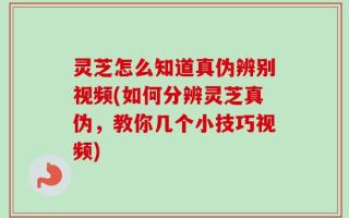 灵芝怎么知道真伪辨别视频(如何分辨灵芝真伪，教你几个小技巧视频)