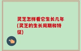 灵芝怎样看它生长几年(灵芝的生长周期和特征)