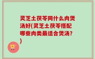 灵芝土茯苓同什么肉煲汤好(灵芝土茯苓搭配哪些肉类最适合煲汤？)
