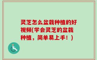 灵芝怎么盆栽种植的好视频(学会灵芝的盆栽种植，简单易上手！)