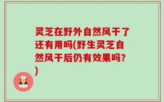 灵芝在野外自然风干了还有用吗(野生灵芝自然风干后仍有效果吗？)