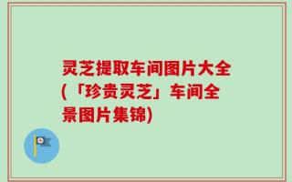 灵芝提取车间图片大全(「珍贵灵芝」车间全景图片集锦)