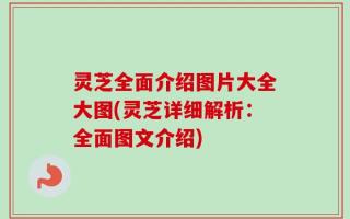 灵芝全面介绍图片大全大图(灵芝详细解析：全面图文介绍)