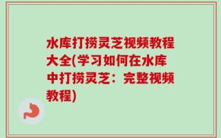 水库打捞灵芝视频教程大全(学习如何在水库中打捞灵芝：完整视频教程)