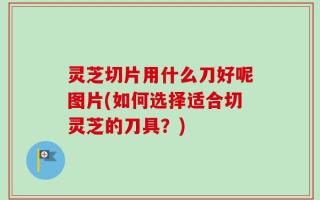 灵芝切片用什么刀好呢图片(如何选择适合切灵芝的刀具？)