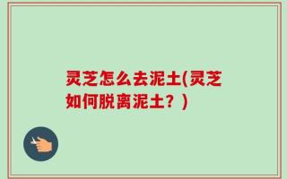 灵芝怎么去泥土(灵芝如何脱离泥土？)