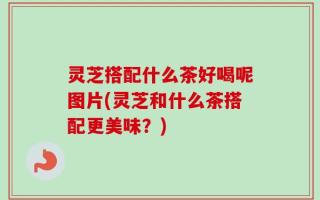 灵芝搭配什么茶好喝呢图片(灵芝和什么茶搭配更美味？)