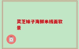 灵芝妹子海鲜米线面软景