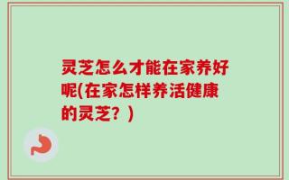 灵芝怎么才能在家养好呢(在家怎样养活健康的灵芝？)