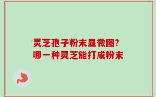 灵芝孢子粉末显微图？哪一种灵芝能打成粉末