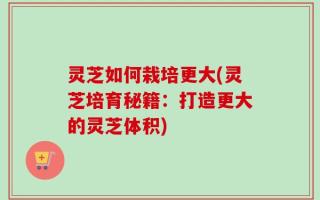 灵芝如何栽培更大(灵芝培育秘籍：打造更大的灵芝体积)