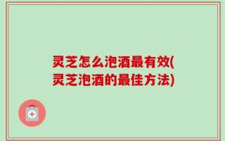 灵芝怎么泡酒最有效(灵芝泡酒的最佳方法)