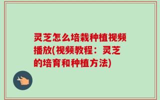 灵芝怎么培栽种植视频播放(视频教程：灵芝的培育和种植方法)