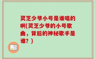 灵芝少爷小号是谁唱的啊(灵芝少爷的小号歌曲，背后的神秘歌手是谁？)
