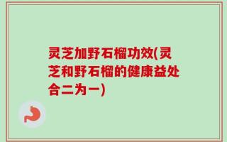 灵芝加野石榴功效(灵芝和野石榴的健康益处合二为一)