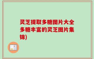 灵芝提取多糖图片大全多糖丰富的灵芝图片集锦)