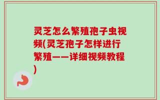 灵芝怎么繁殖孢子虫视频(灵芝孢子怎样进行繁殖——详细视频教程)