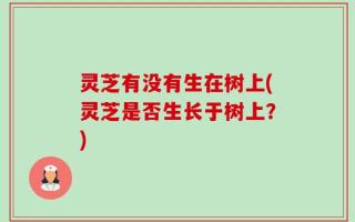 灵芝有没有生在树上(灵芝是否生长于树上？)