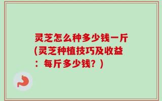 灵芝怎么种多少钱一斤(灵芝种植技巧及收益：每斤多少钱？)