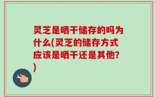 灵芝是晒干储存的吗为什么(灵芝的储存方式应该是晒干还是其他？)
