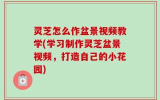 灵芝怎么作盆景视频教学(学习制作灵芝盆景视频，打造自己的小花园)