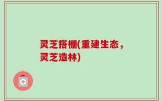 灵芝搭棚(重建生态，灵芝造林)