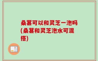 桑葚可以和灵芝一泡吗(桑葚和灵芝泡水可混搭)