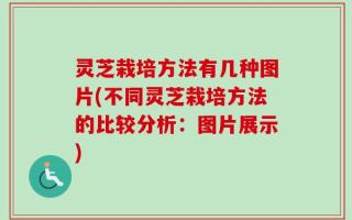 灵芝栽培方法有几种图片(不同灵芝栽培方法的比较分析：图片展示)