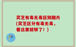 灵芝有毒无毒区别图片(灵芝区分有毒无毒，看这里就够了！)